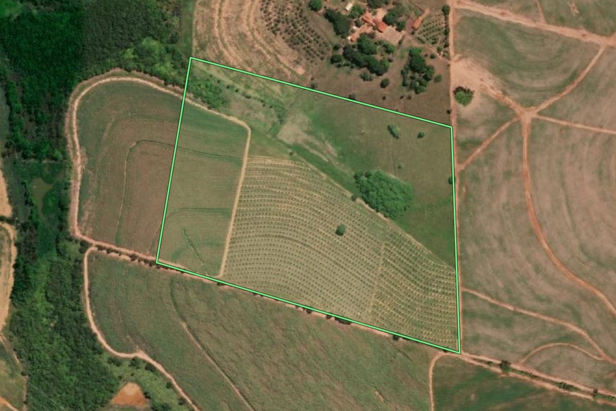 Imagem de satélite do imóvel rural em Itajobi (SP), com o contorno declarado no CAR desenhado por cima.
