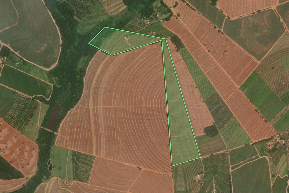 Imagem de satélite do imóvel rural em Itajobi (SP), com o contorno declarado no CAR desenhado por cima.