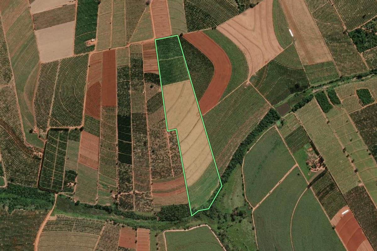 Imagem de satélite do imóvel rural em Itajobi (SP), com o contorno declarado no CAR desenhado por cima.