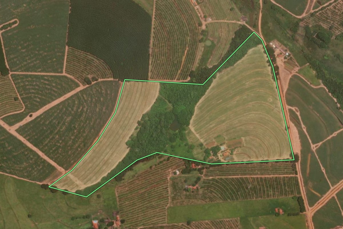 Imagem de satélite do imóvel rural em Itajobi (SP), com o contorno declarado no CAR desenhado por cima.