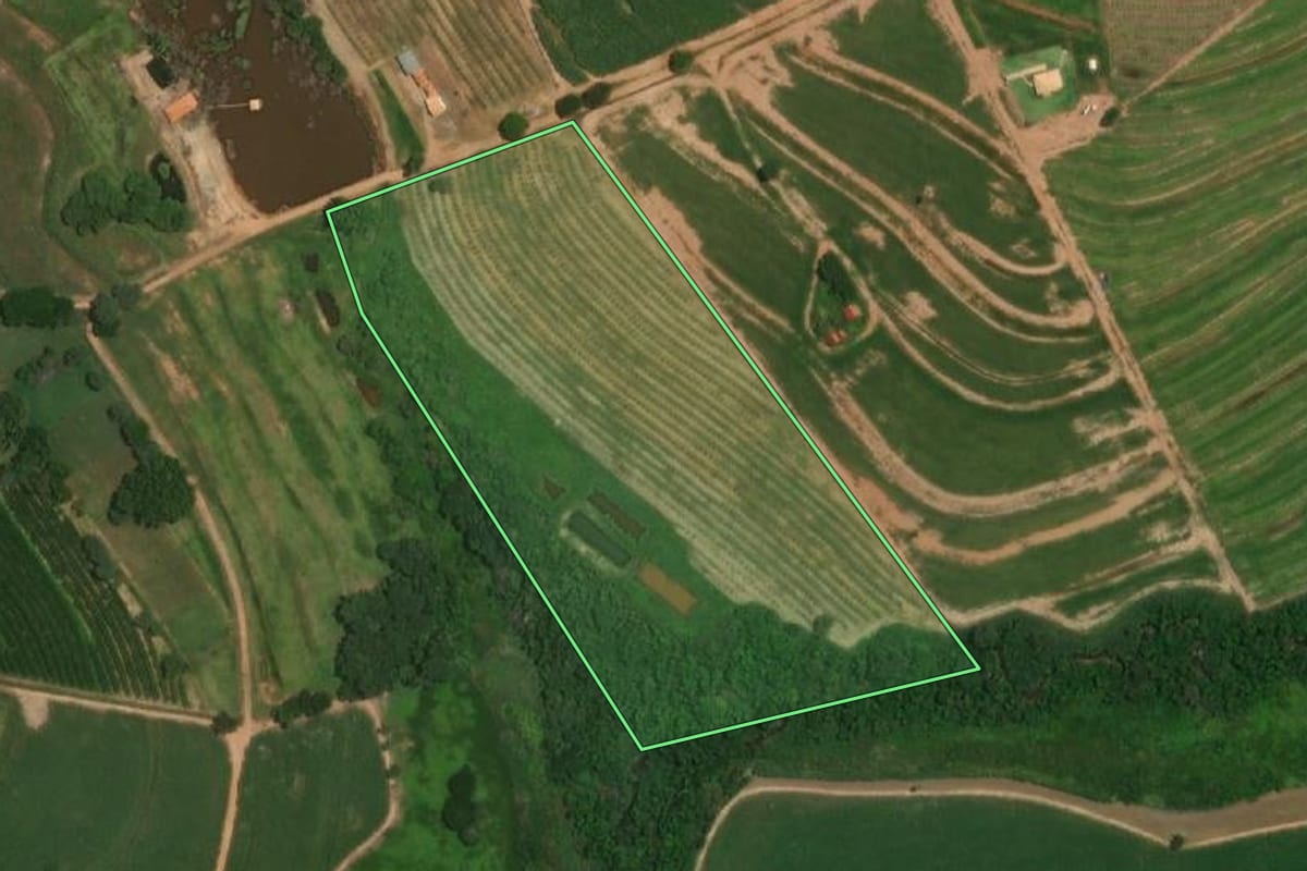 Imagem de satélite do imóvel rural em Itajobi (SP), com o contorno declarado no CAR desenhado por cima.