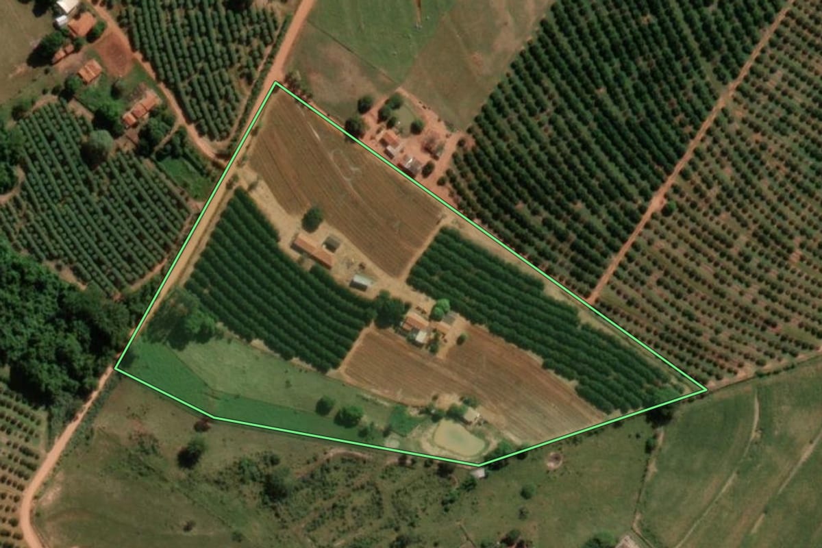 Imagem de satélite do imóvel rural em Itajobi (SP), com o contorno declarado no CAR desenhado por cima.