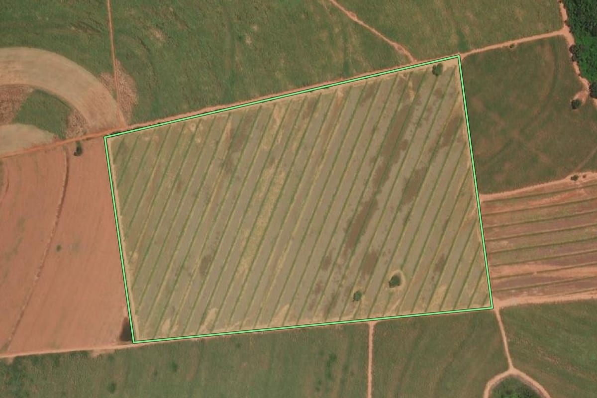 Imagem de satélite do imóvel rural em Itajobi (SP), com o contorno declarado no CAR desenhado por cima.
