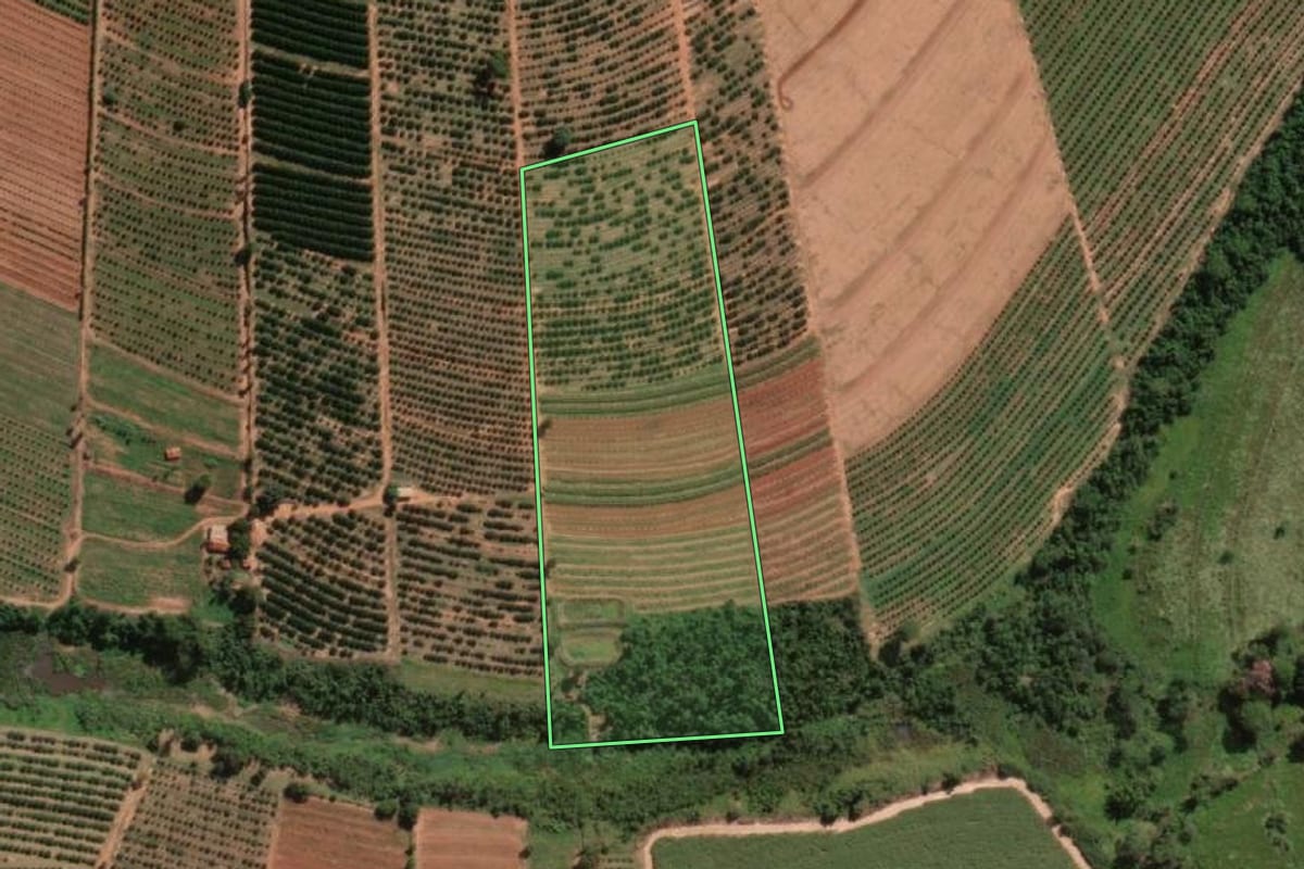 Imagem de satélite do imóvel rural em Itajobi (SP), com o contorno declarado no CAR desenhado por cima.