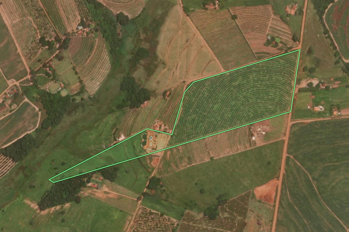 Imagem de satélite do imóvel rural em Itajobi (SP), com o contorno declarado no CAR desenhado por cima.