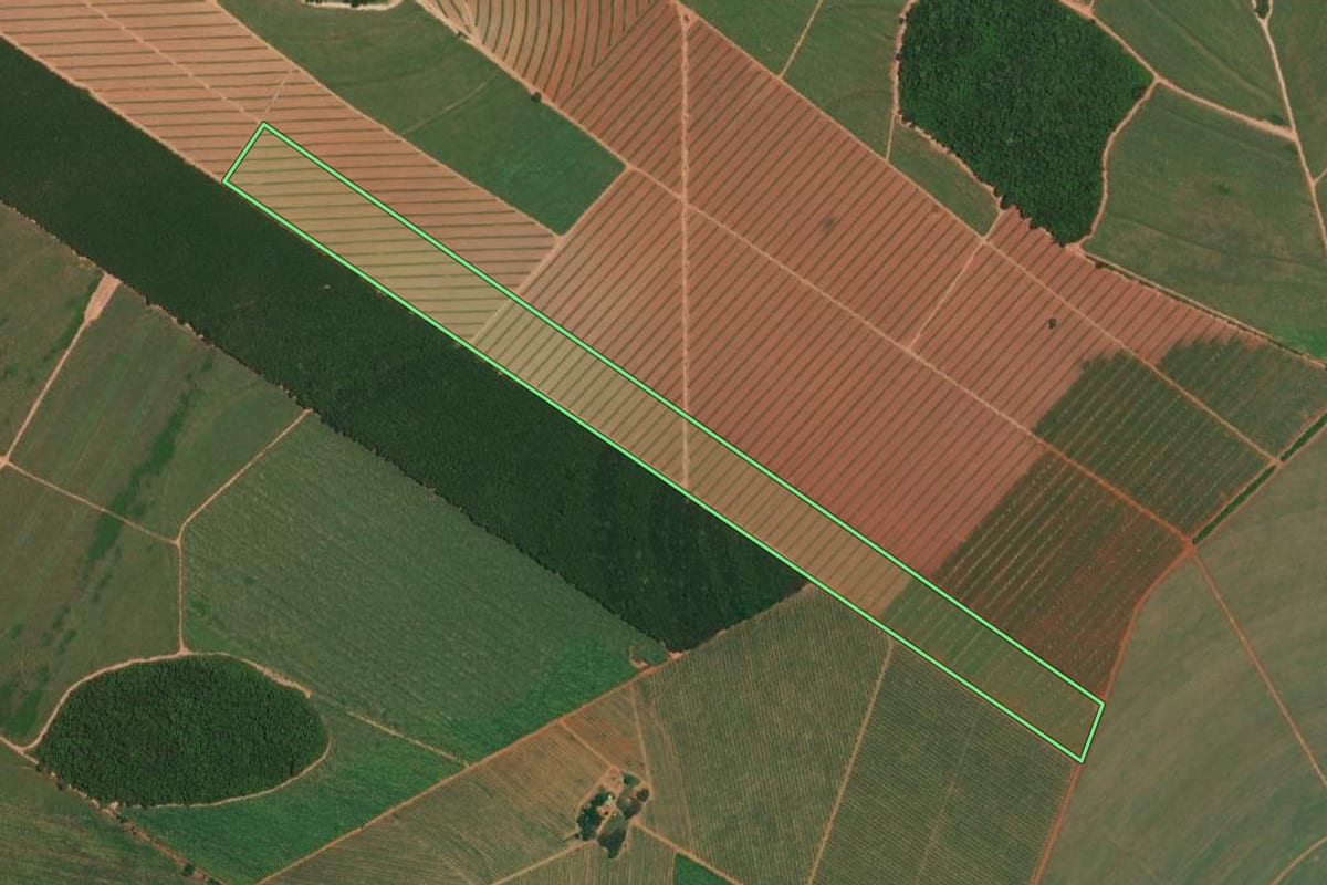 Imagem de satélite do imóvel rural em Itajobi (SP), com o contorno declarado no CAR desenhado por cima.