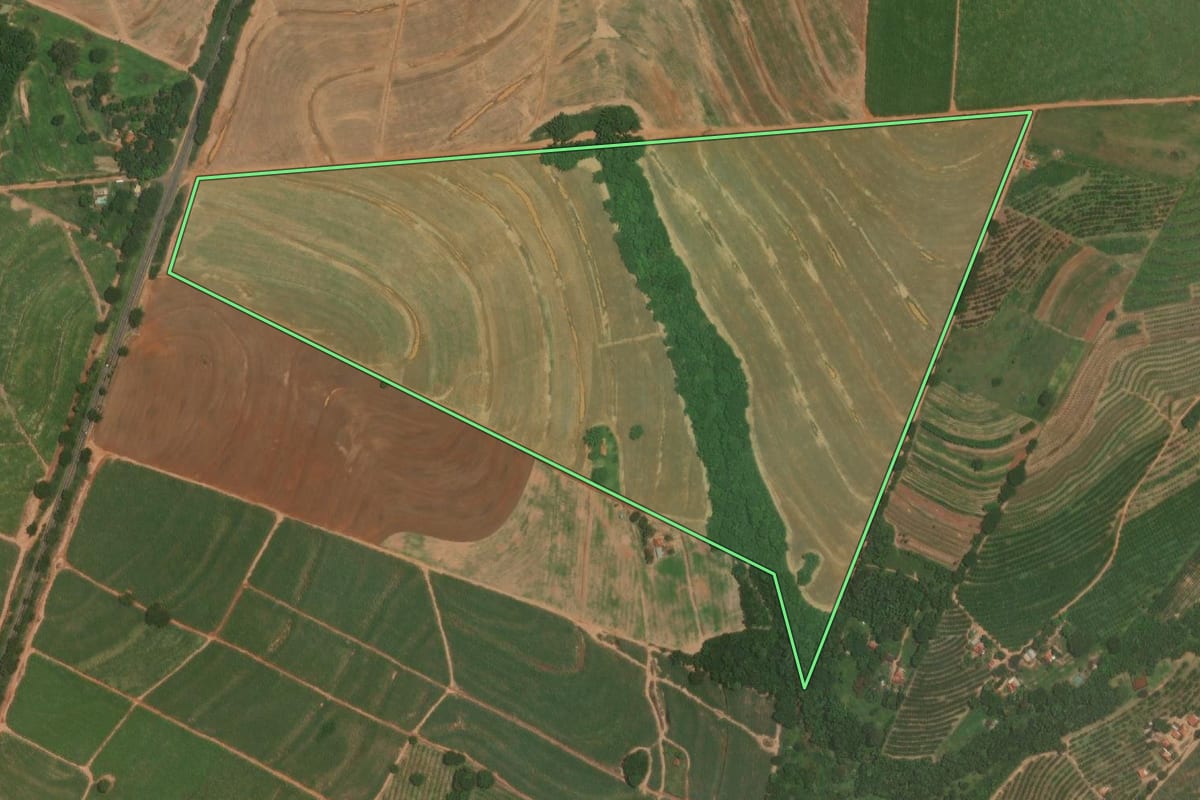 Imagem de satélite do imóvel rural em Itajobi (SP), com o contorno declarado no CAR desenhado por cima.