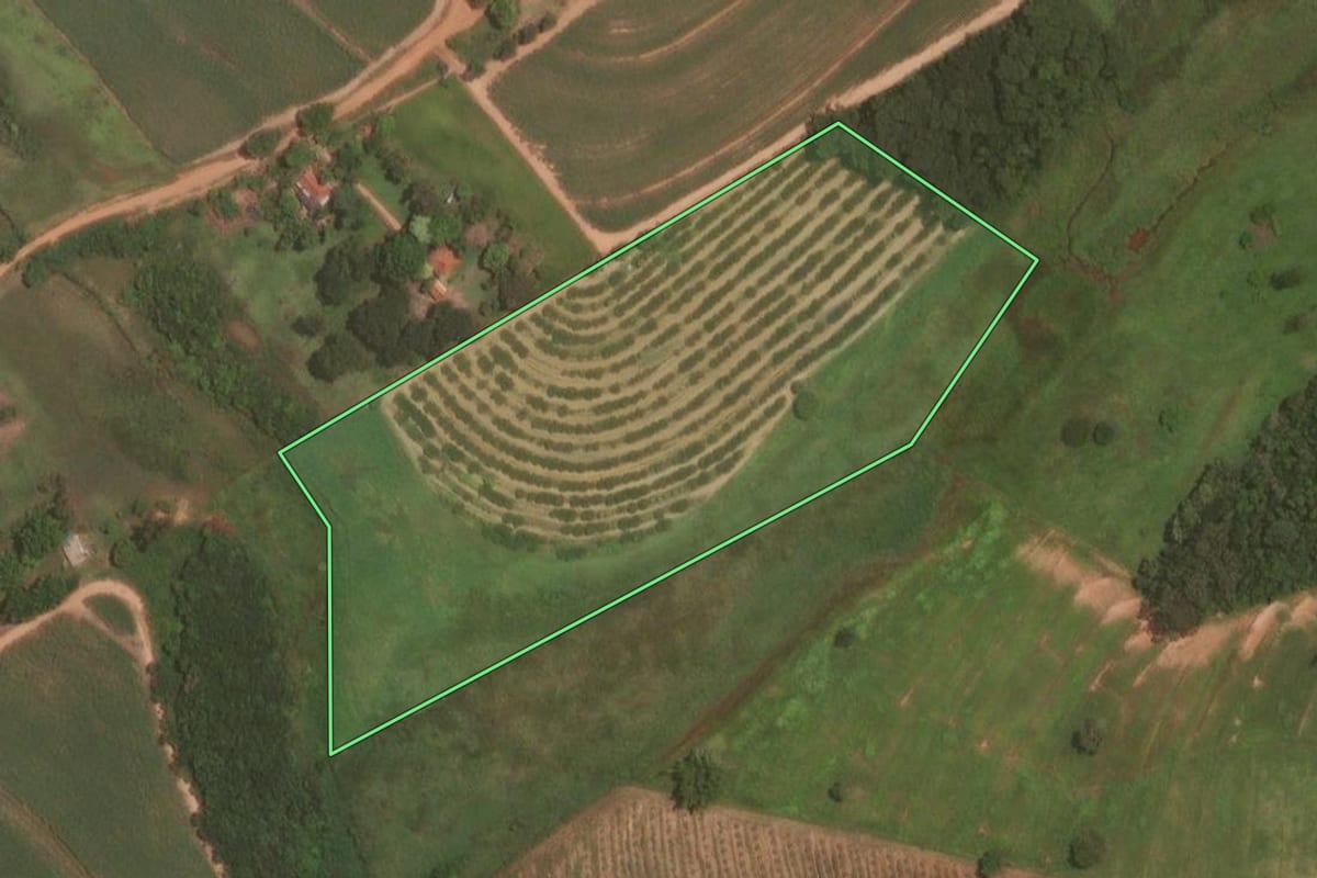 Imagem de satélite do imóvel rural em Itajobi (SP), com o contorno declarado no CAR desenhado por cima.