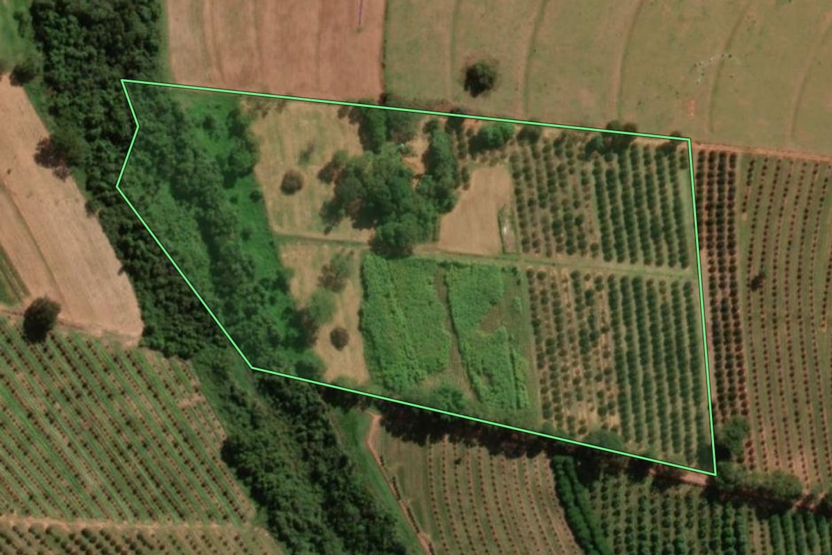 Imagem de satélite do imóvel rural em Itajobi (SP), com o contorno declarado no CAR desenhado por cima.