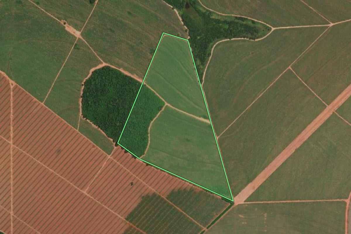 Imagem de satélite do imóvel rural em Itajobi (SP), com o contorno declarado no CAR desenhado por cima.