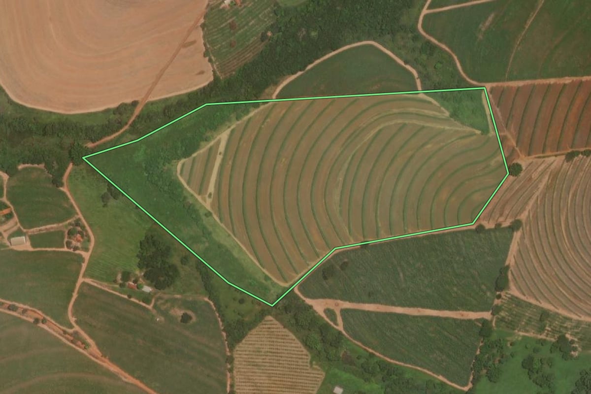 Imagem de satélite do imóvel rural em Itajobi (SP), com o contorno declarado no CAR desenhado por cima.