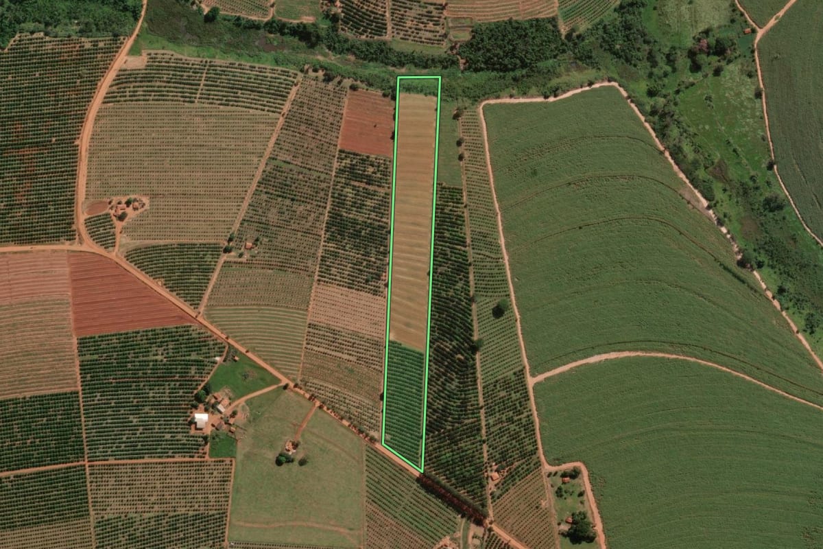 Imagem de satélite do imóvel rural em Itajobi (SP), com o contorno declarado no CAR desenhado por cima.