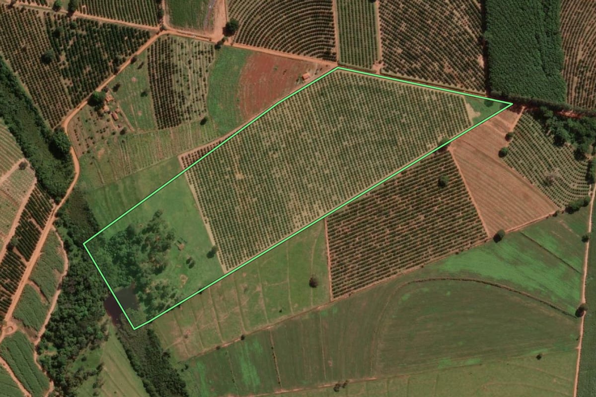 Imagem de satélite do imóvel rural em Itajobi (SP), com o contorno declarado no CAR desenhado por cima.