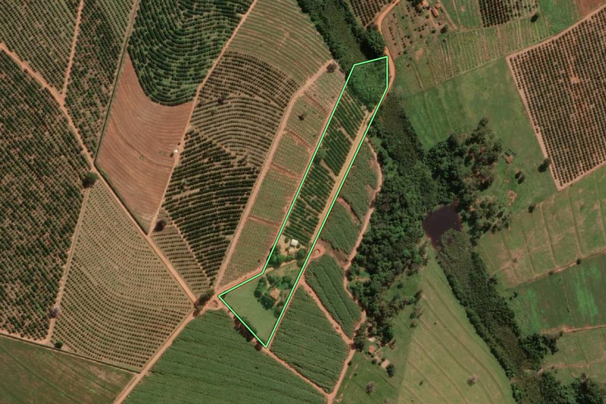 Imagem de satélite do imóvel rural em Itajobi (SP), com o contorno declarado no CAR desenhado por cima.