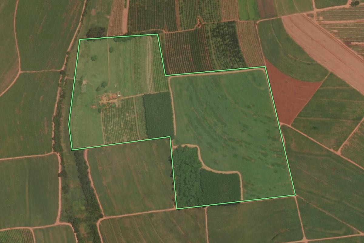 Imagem de satélite do imóvel rural em Itajobi (SP), com o contorno declarado no CAR desenhado por cima.