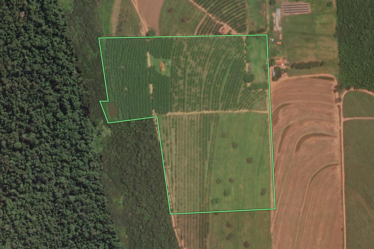 Imagem de satélite do imóvel rural em Itajobi (SP), com o contorno declarado no CAR desenhado por cima.