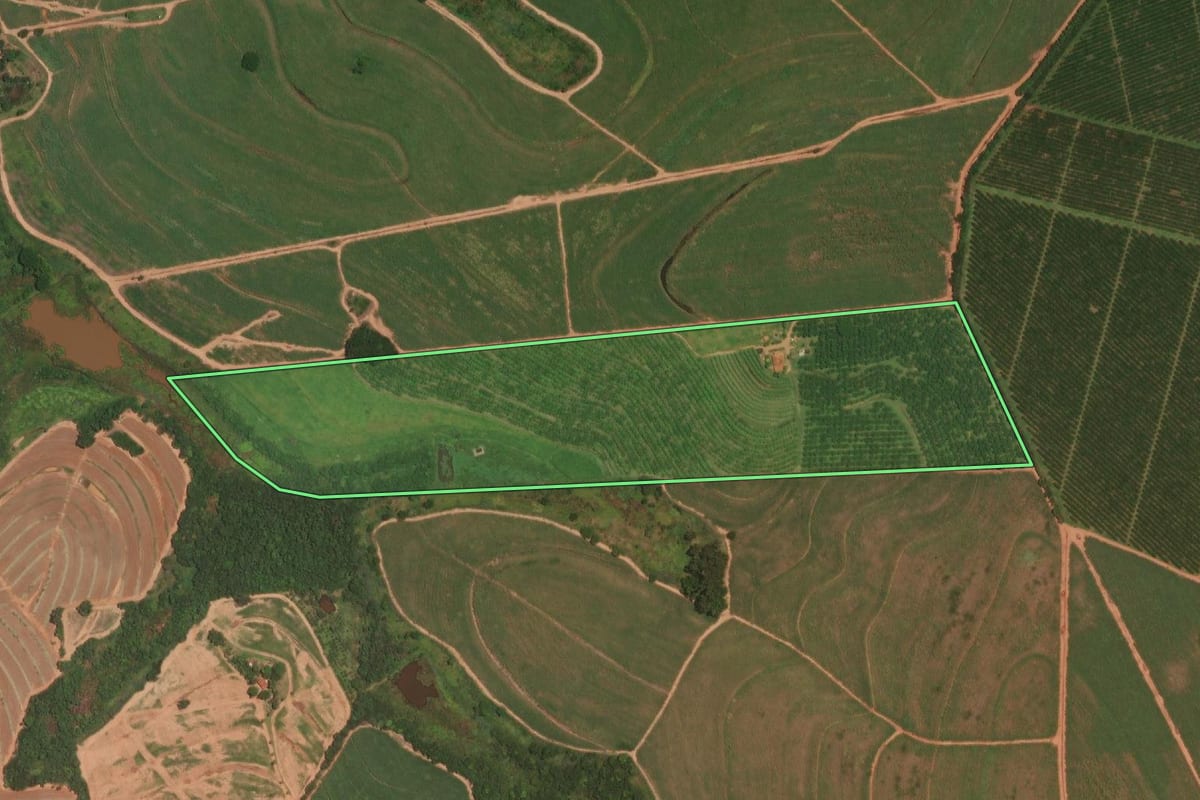 Imagem de satélite do imóvel rural em Itajobi (SP), com o contorno declarado no CAR desenhado por cima.