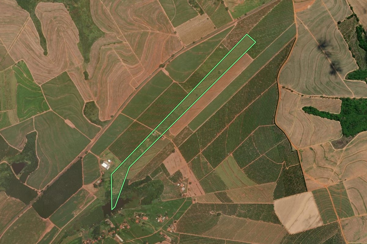 Imagem de satélite do imóvel rural em Itajobi (SP), com o contorno declarado no CAR desenhado por cima.