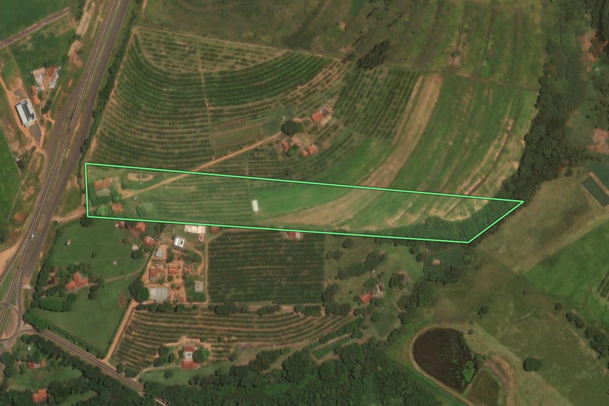 Imagem de satélite do imóvel rural em Itajobi (SP), com o contorno declarado no CAR desenhado por cima.