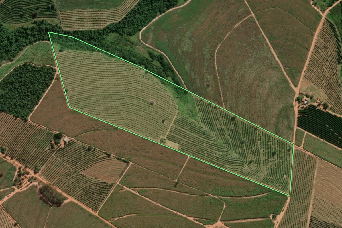 Imagem de satélite do imóvel rural em Itajobi (SP), com o contorno declarado no CAR desenhado por cima.