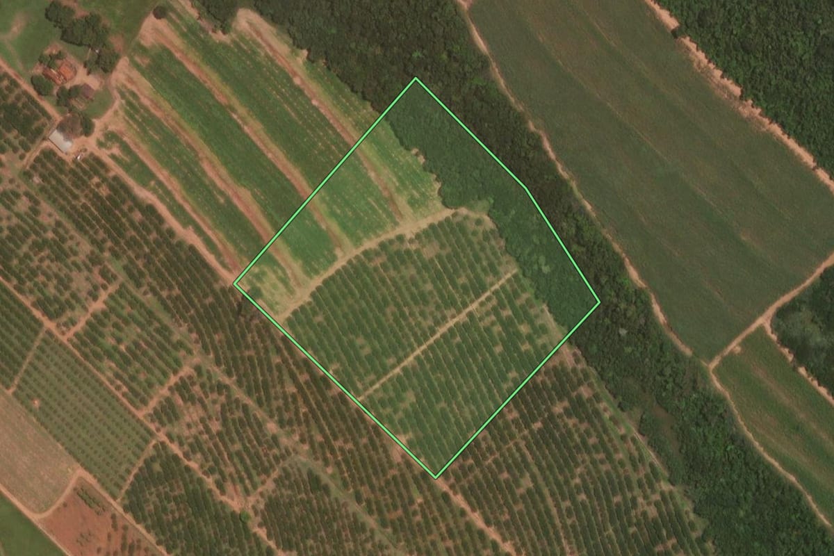 Imagem de satélite do imóvel rural em Itajobi (SP), com o contorno declarado no CAR desenhado por cima.