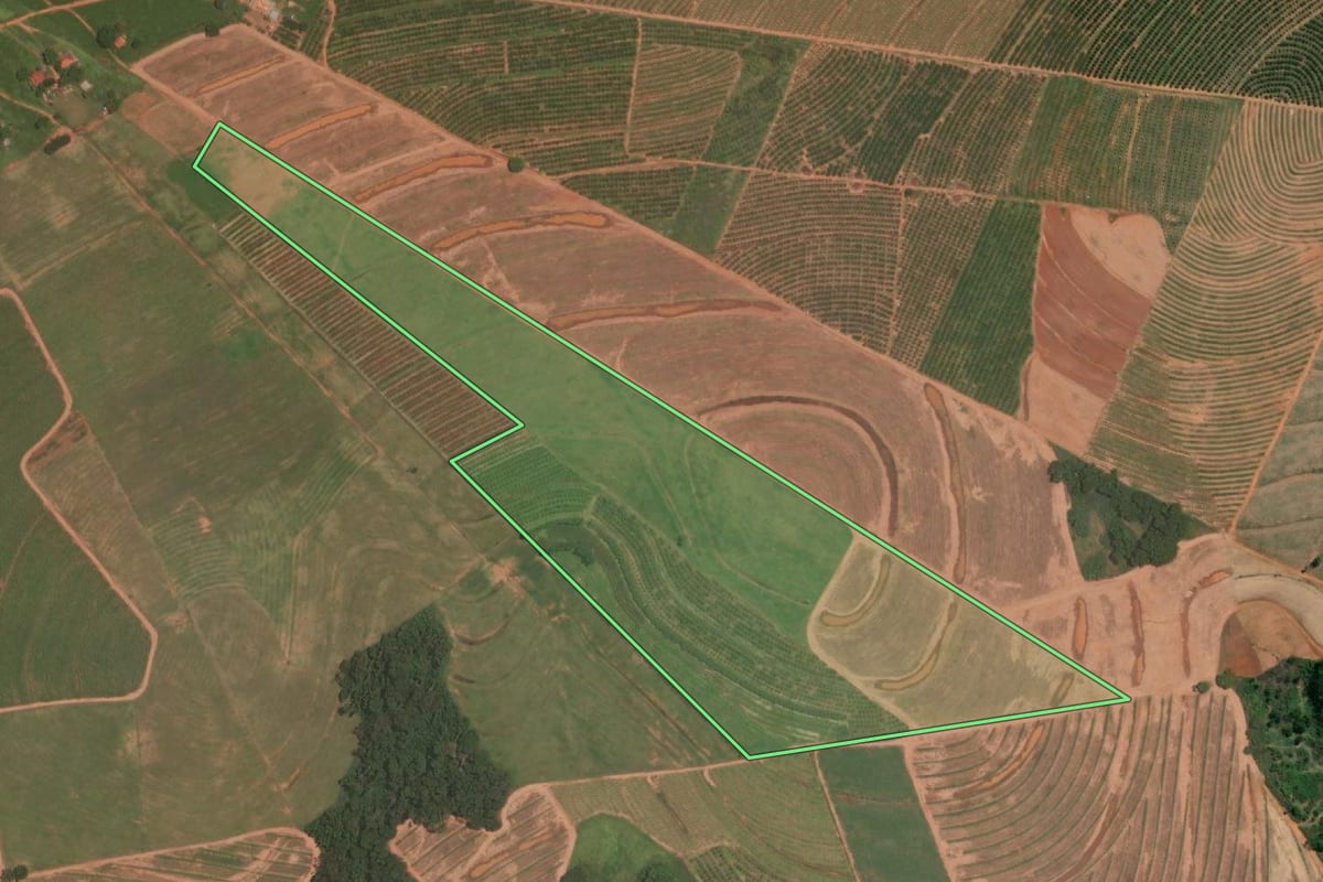 Imagem de satélite do imóvel rural em Itajobi (SP), com o contorno declarado no CAR desenhado por cima.
