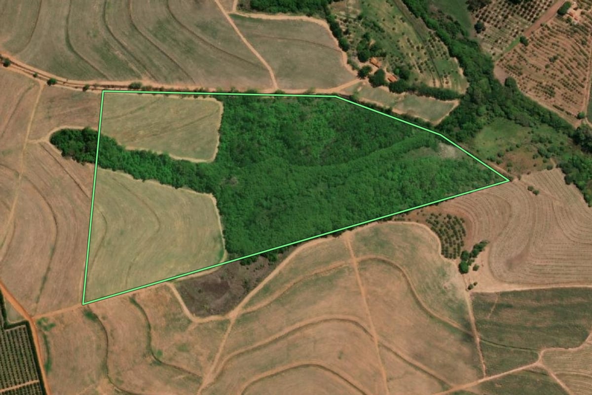 Imagem de satélite do imóvel rural em Itajobi (SP), com o contorno declarado no CAR desenhado por cima.