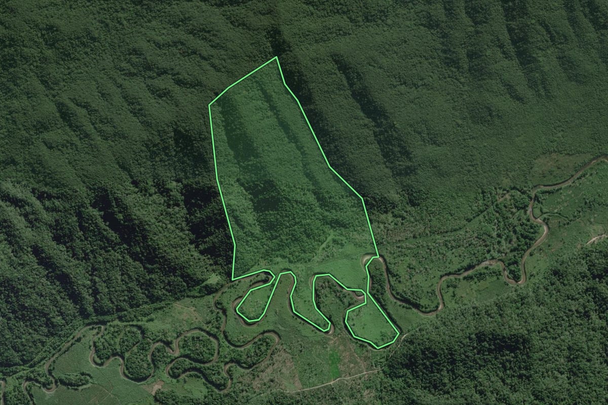 Imagem de satélite do imóvel rural em Itanhaém (SP), com o contorno declarado no CAR desenhado por cima.