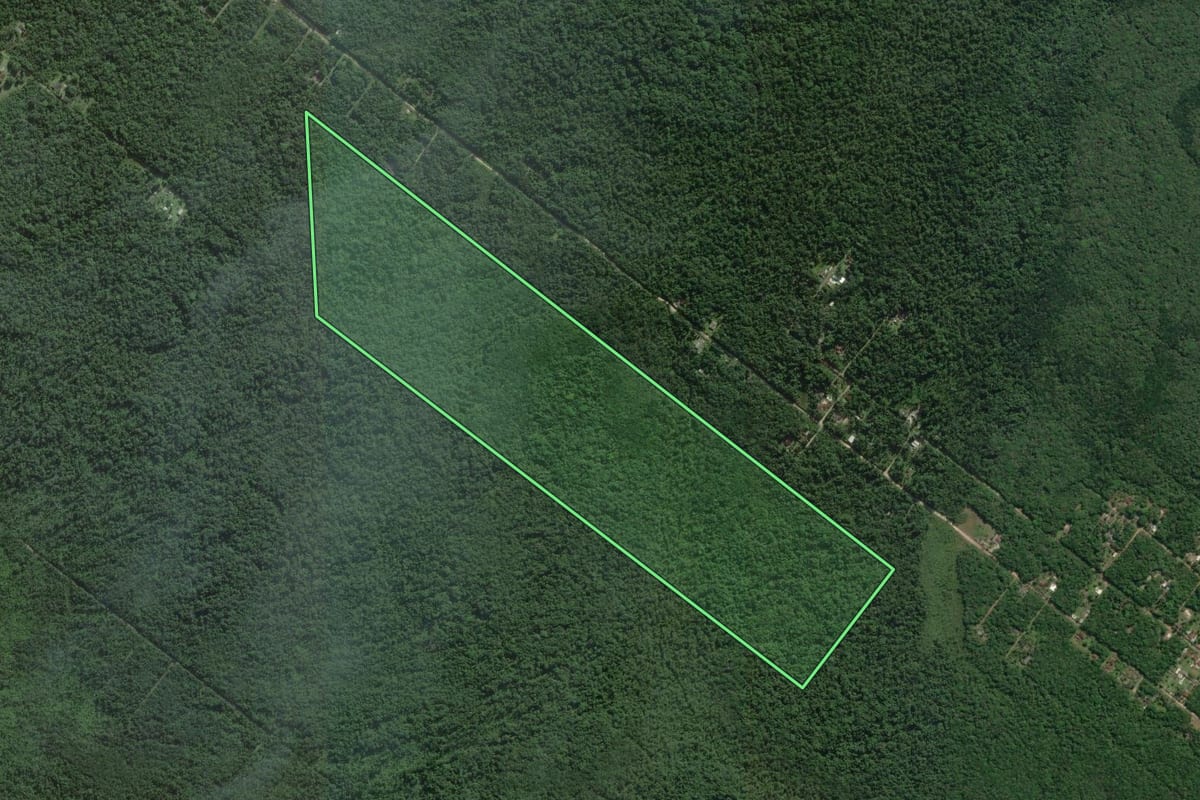 Imagem de satélite do imóvel rural em Itanhaém (SP), com o contorno declarado no CAR desenhado por cima.