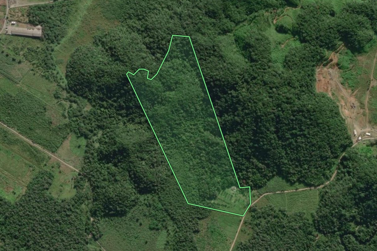 Imagem de satélite do imóvel rural em Itanhaém (SP), com o contorno declarado no CAR desenhado por cima.