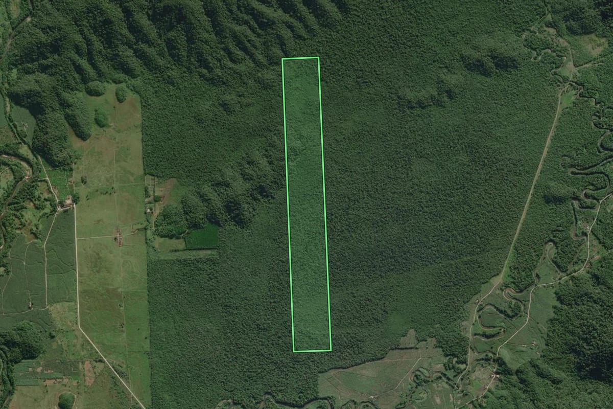 Imagem de satélite do imóvel rural em Itanhaém (SP), com o contorno declarado no CAR desenhado por cima.