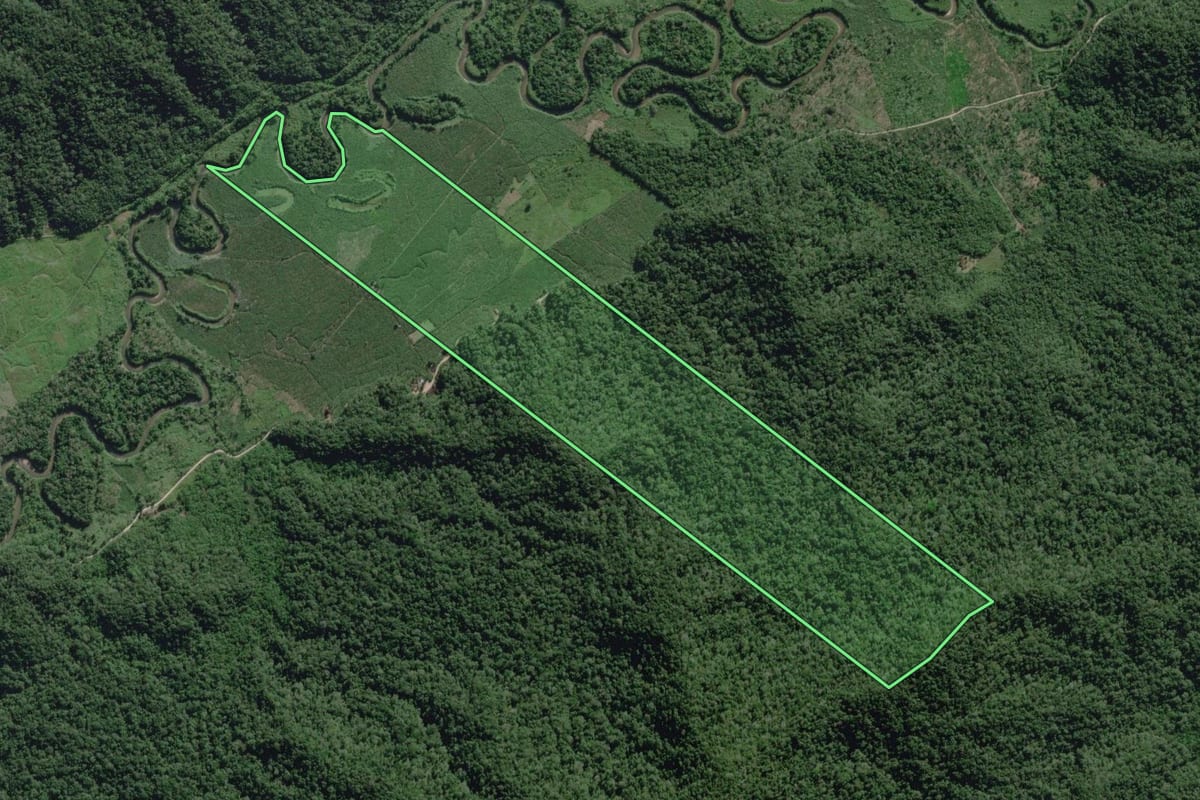 Imagem de satélite do imóvel rural em Itanhaém (SP), com o contorno declarado no CAR desenhado por cima.