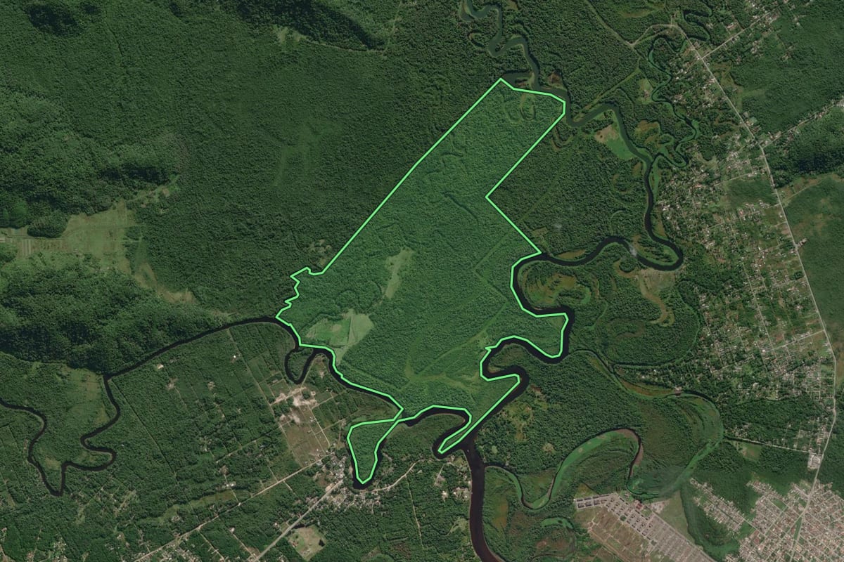 Imagem de satélite do imóvel rural em Itanhaém (SP), com o contorno declarado no CAR desenhado por cima.