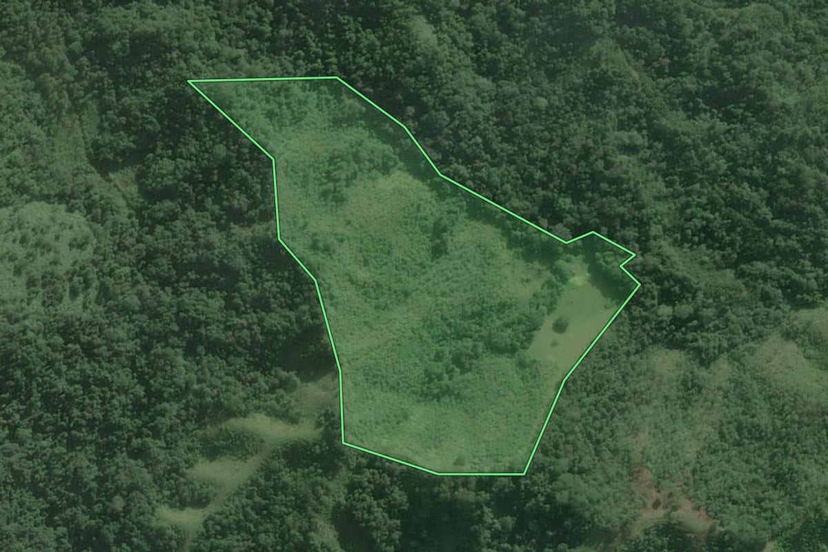 Imagem de satélite do imóvel rural em Itaoca (SP), com o contorno declarado no CAR desenhado por cima.