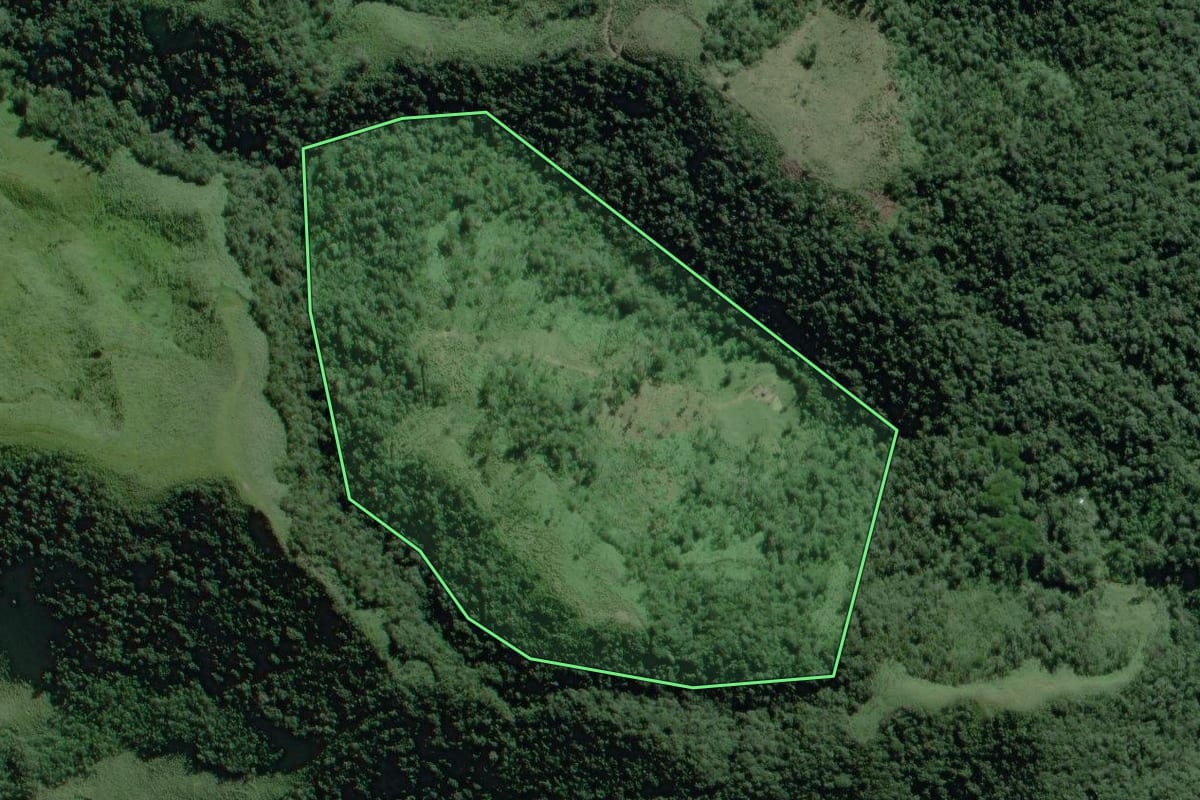 Imagem de satélite do imóvel rural em Itaoca (SP), com o contorno declarado no CAR desenhado por cima.