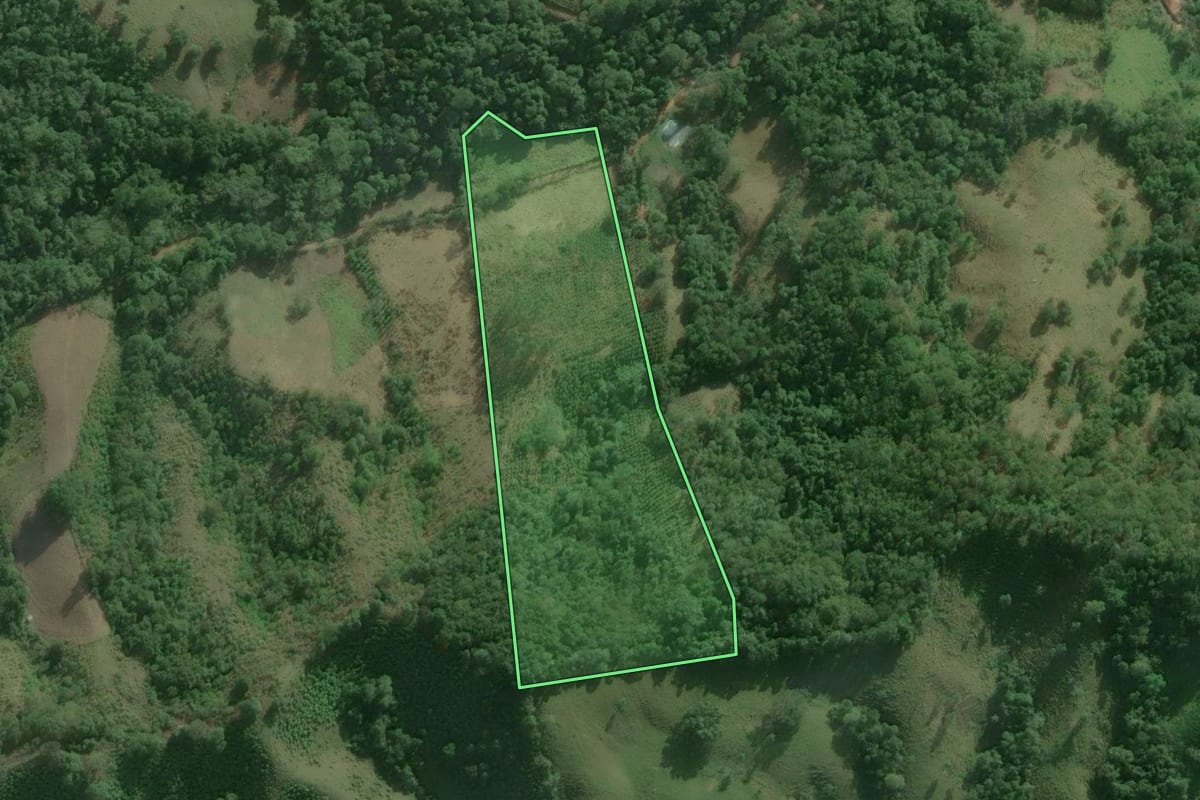 Imagem de satélite do imóvel rural em Itaoca (SP), com o contorno declarado no CAR desenhado por cima.