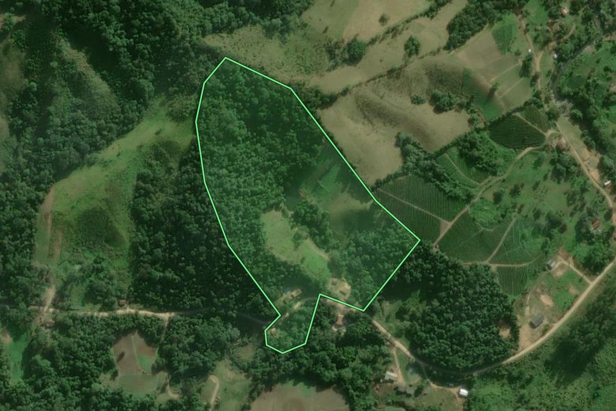 Imagem de satélite do imóvel rural em Itaoca (SP), com o contorno declarado no CAR desenhado por cima.