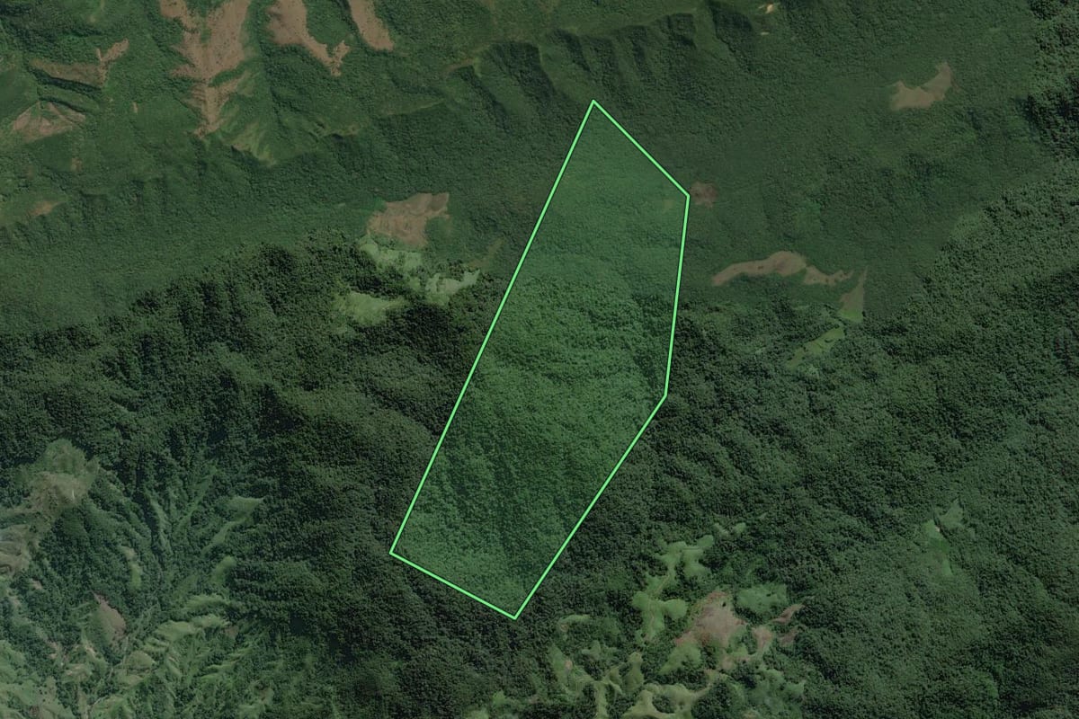 Imagem de satélite do imóvel rural em Itaoca (SP), com o contorno declarado no CAR desenhado por cima.
