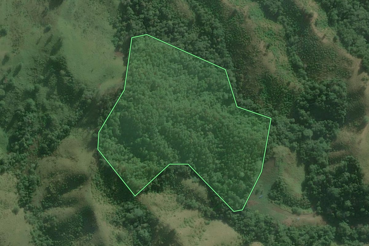 Imagem de satélite do imóvel rural em Itaoca (SP), com o contorno declarado no CAR desenhado por cima.