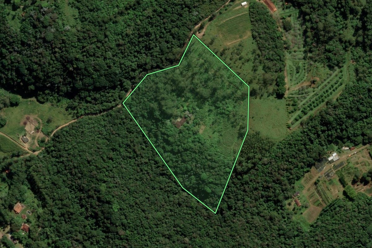 Imagem de satélite do imóvel rural em Itapecerica da Serra (SP), com o contorno declarado no CAR desenhado por cima.