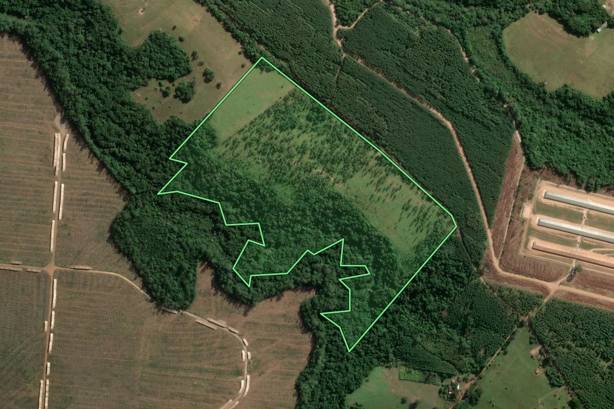 Imagem de satélite do imóvel rural em Itapetininga (SP), com o contorno declarado no CAR desenhado por cima.