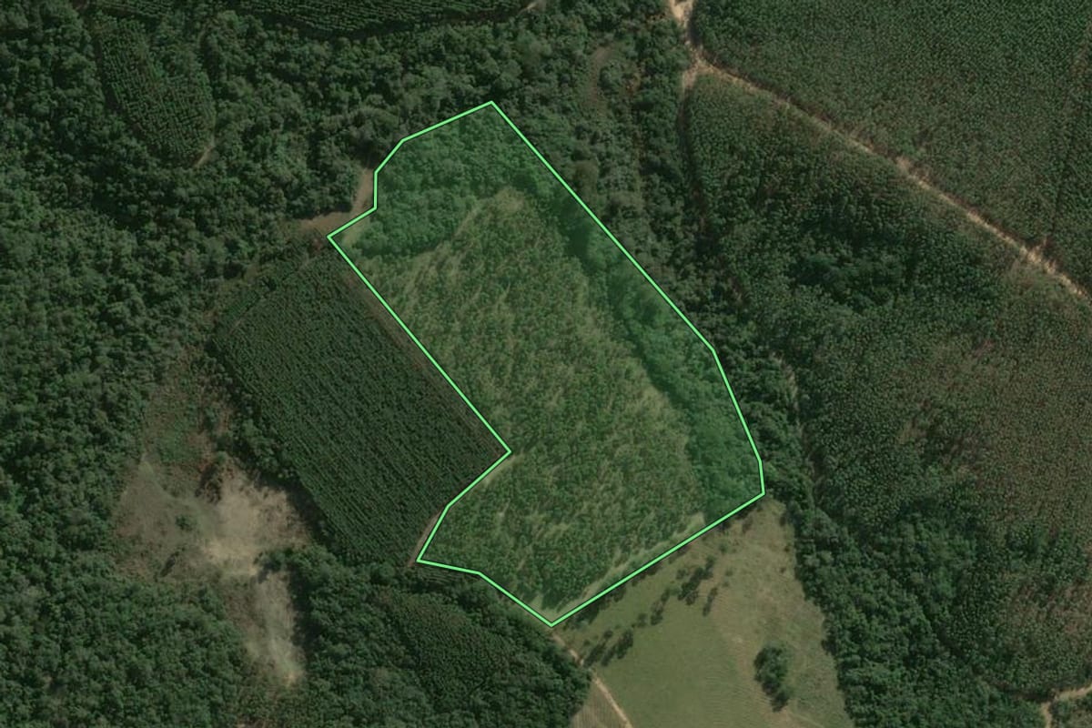 Imagem de satélite do imóvel rural em Itapetininga (SP), com o contorno declarado no CAR desenhado por cima.