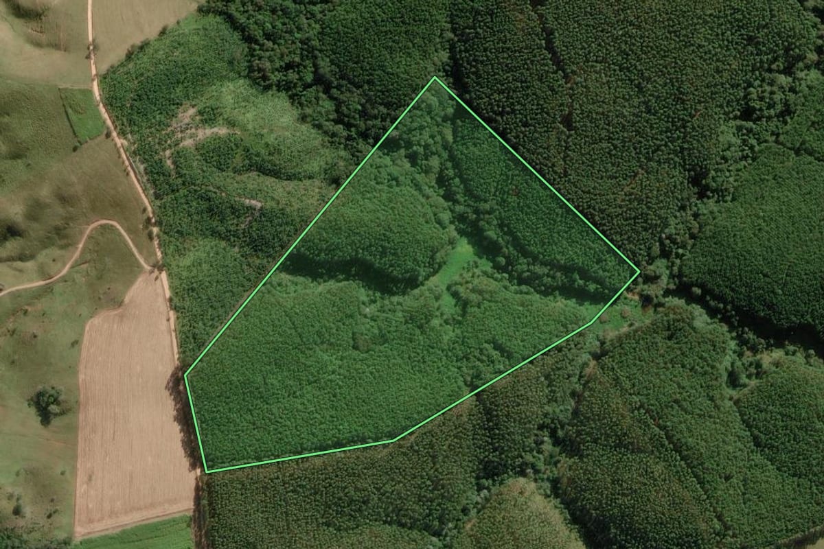 Imagem de satélite do imóvel rural em Itapeva (SP), com o contorno declarado no CAR desenhado por cima.