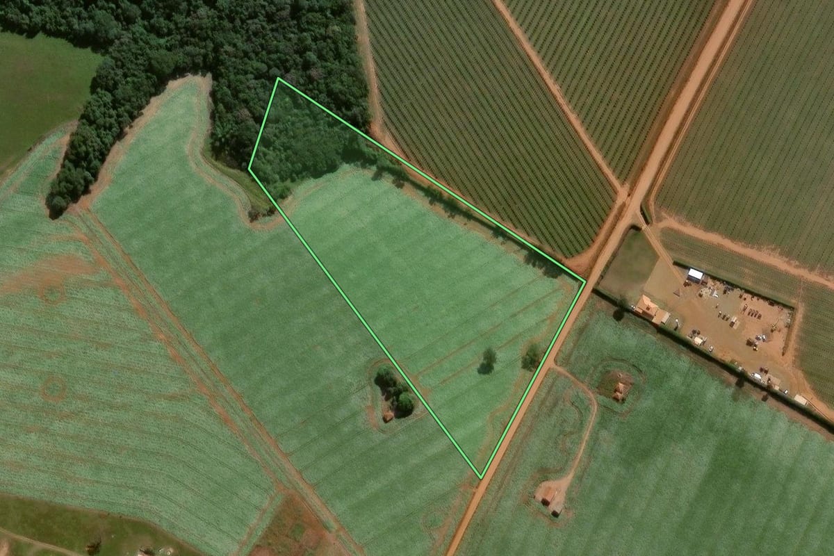 Imagem de satélite do imóvel rural em Itapeva (SP), com o contorno declarado no CAR desenhado por cima.