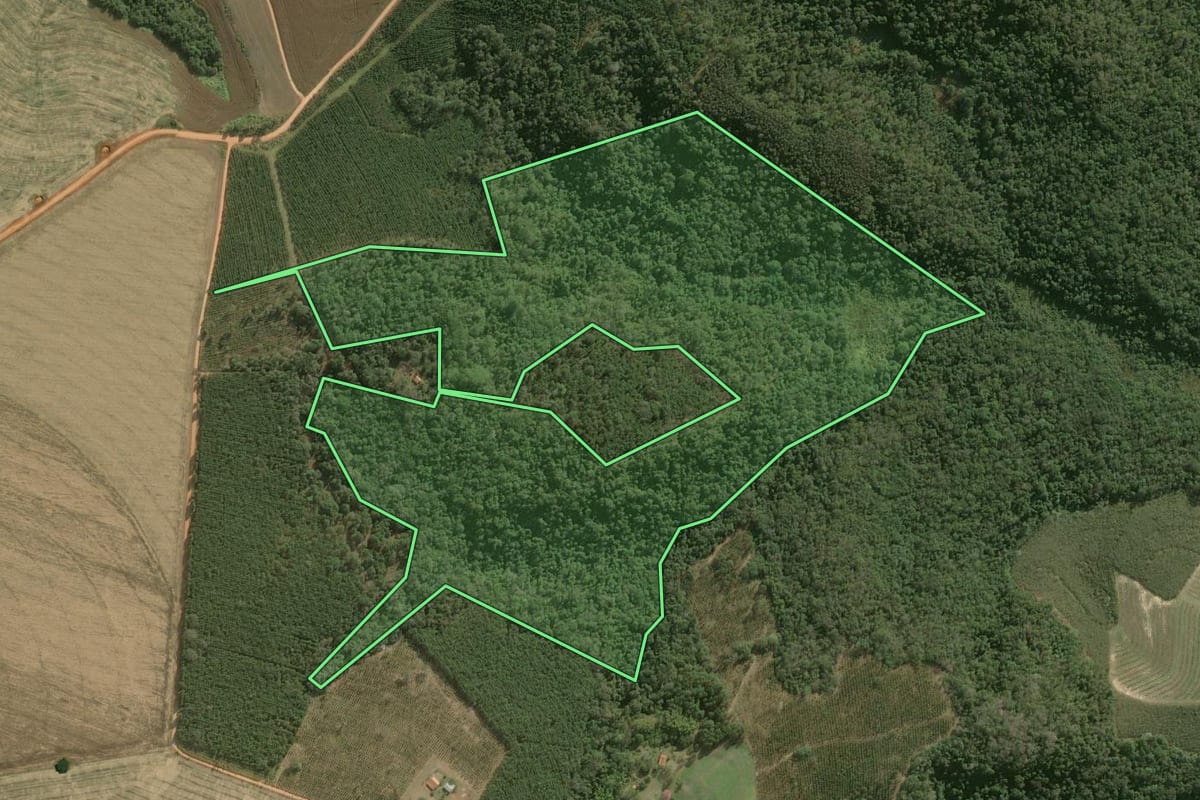 Imagem de satélite do imóvel rural em Itapeva (SP), com o contorno declarado no CAR desenhado por cima.