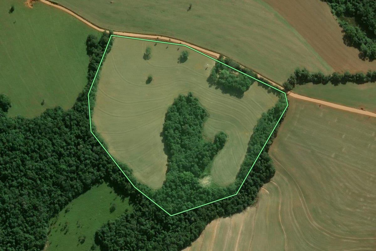 Imagem de satélite do imóvel rural em Itapeva (SP), com o contorno declarado no CAR desenhado por cima.