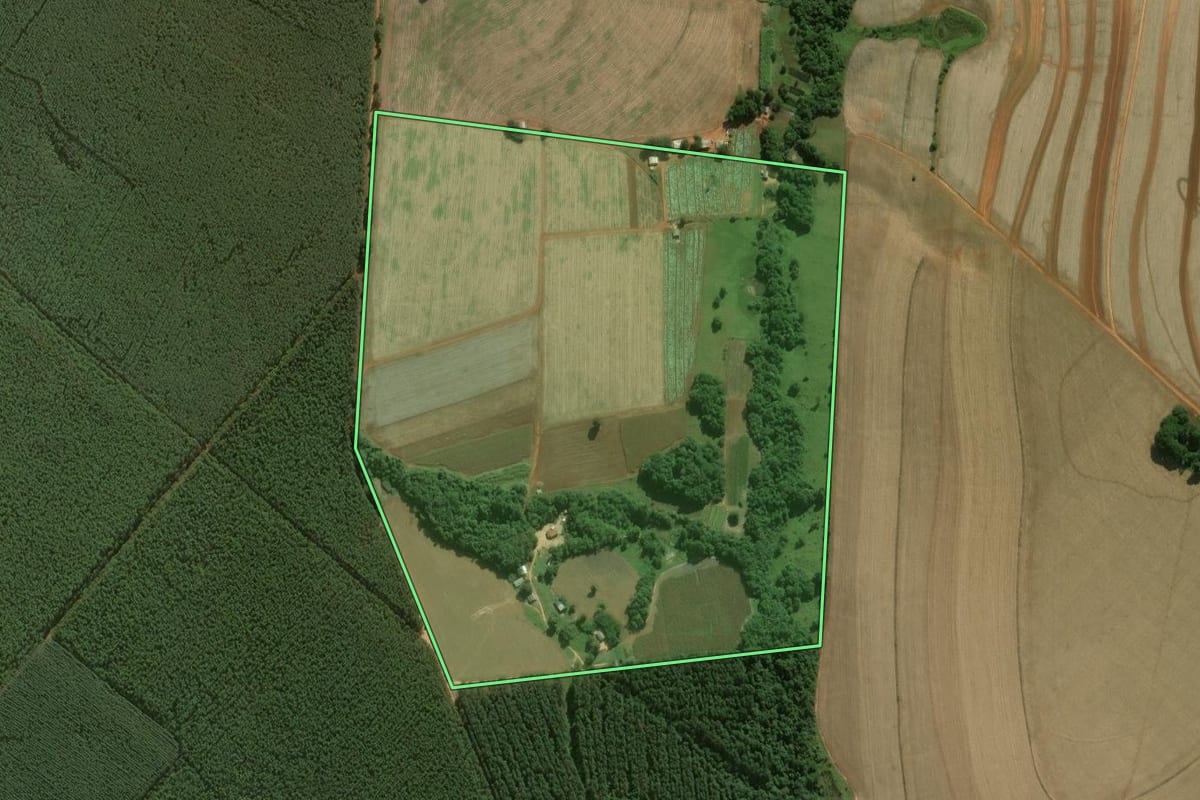 Imagem de satélite do imóvel rural em Itapeva (SP), com o contorno declarado no CAR desenhado por cima.