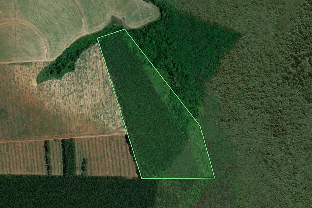 Imagem de satélite do imóvel rural em Itapeva (SP), com o contorno declarado no CAR desenhado por cima.