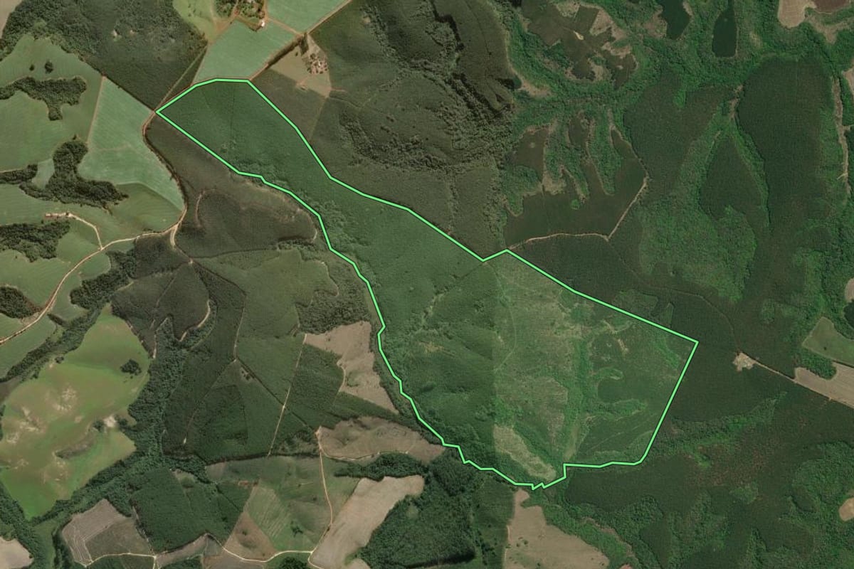 Imagem de satélite do imóvel rural em Itapeva (SP), com o contorno declarado no CAR desenhado por cima.