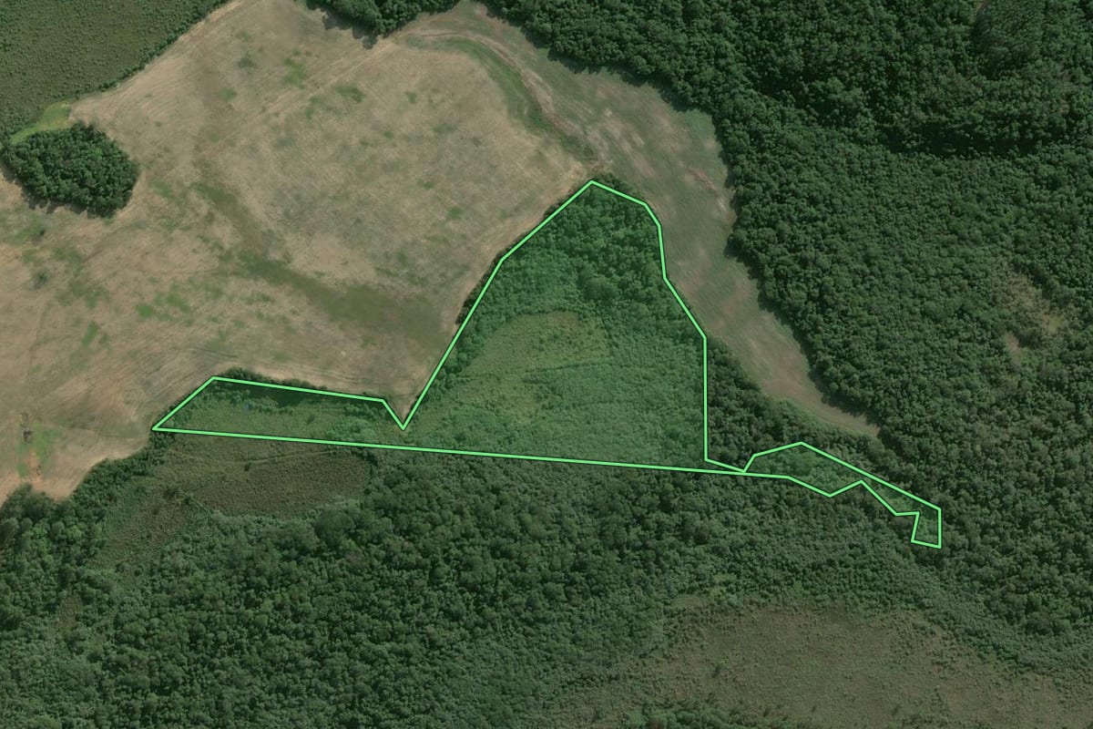 Imagem de satélite do imóvel rural em Itapeva (SP), com o contorno declarado no CAR desenhado por cima.